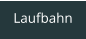 Laufbahn