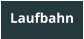 Laufbahn